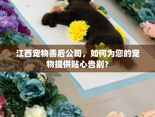 江西宠物善后公司,如何为您的宠物提供贴心告别? 江西宠物善后公司,如何为您的宠物提供贴心告别?