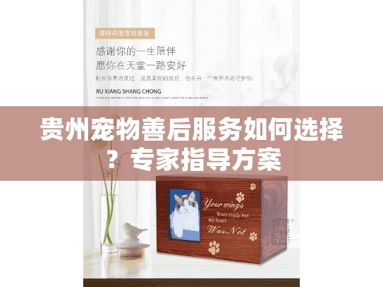 贵州宠物善后服务如何选择？专家指导方案