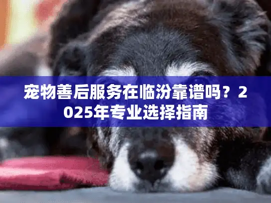 宠物善后服务在临汾靠谱吗？2025年专业选择指南
