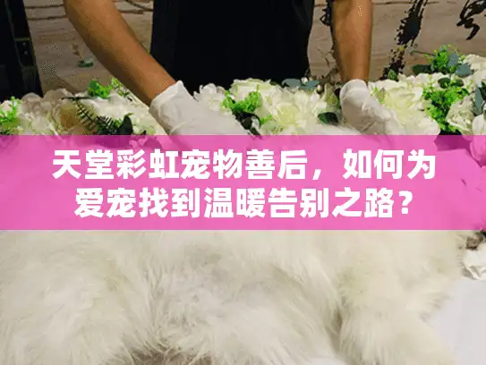 天堂彩虹宠物善后,如何为爱宠找到温暖告别之路? 天堂彩虹宠物善后,如何为爱宠找到温暖告别之路?