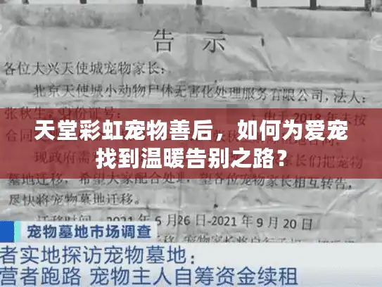 天堂彩虹宠物善后,如何为爱宠找到温暖告别之路? 天堂彩虹宠物善后,如何为爱宠找到温暖告别之路?
