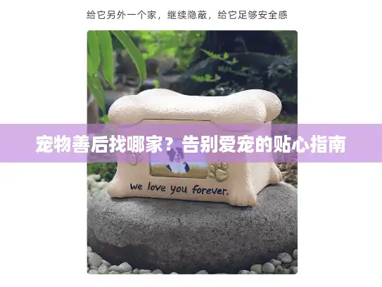 宠物善后找哪家？告别爱宠的贴心指南