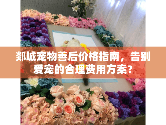 郯城宠物善后价格指南，告别爱宠的合理费用方案？