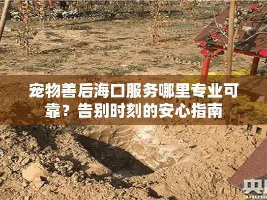 宠物善后海口服务哪里专业可靠?告别时刻的安心指南 宠物善后海口服务哪里专业可靠?告别时刻的安心指南