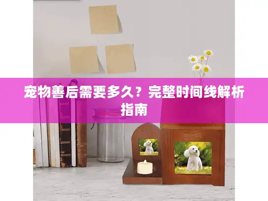 宠物善后需要多久?完整时间线解析指南 宠物善后需要多久?完整时间线解析指南