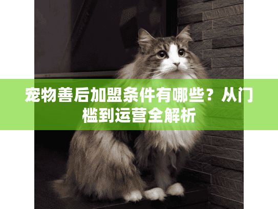 宠物善后加盟条件有哪些？从门槛到运营全解析