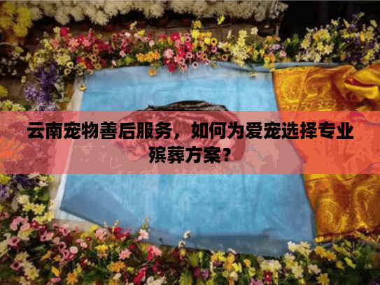 云南宠物善后服务，如何为爱宠选择专业殡葬方案？