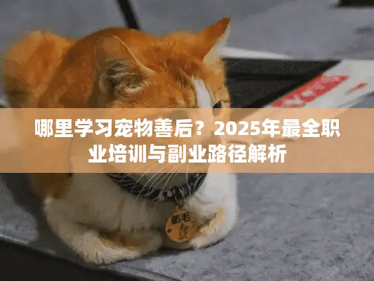 哪里学习宠物善后？2025年最全职业培训与副业路径解析