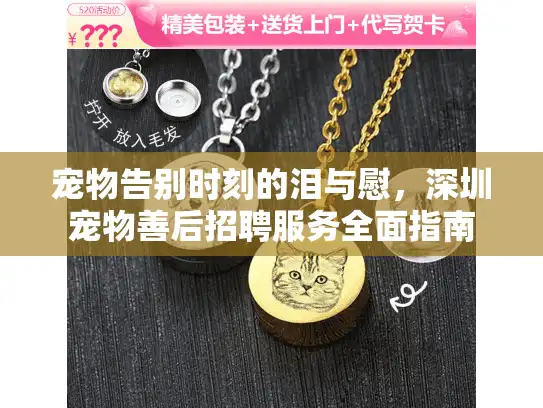 宠物告别时刻的泪与慰，深圳宠物善后招聘服务全面指南