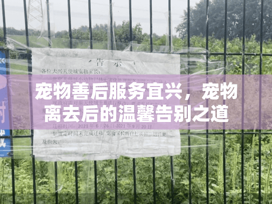 宠物善后服务宜兴，宠物离去后的温馨告别之道
