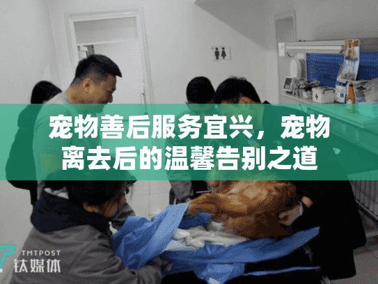 宠物善后服务宜兴，宠物离去后的温馨告别之道