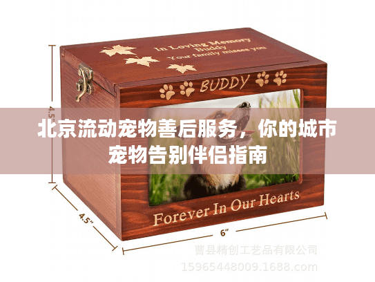 北京流动宠物善后服务，你的城市宠物告别伴侣指南