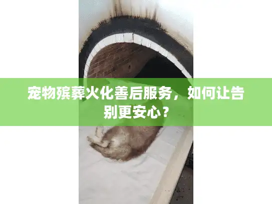 宠物殡葬火化善后服务，如何让告别更安心？