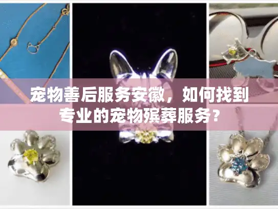 宠物善后服务安徽，如何找到专业的宠物殡葬服务？