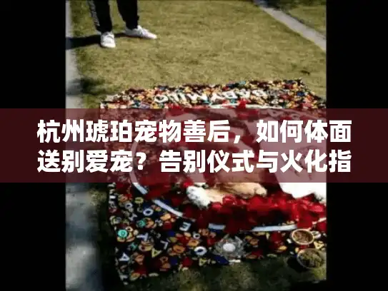 杭州琥珀宠物善后，如何体面送别爱宠？告别仪式与火化指南