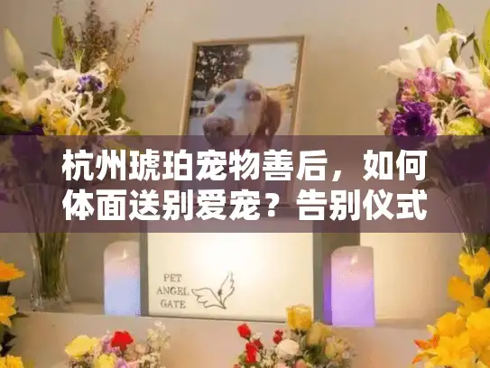 杭州琥珀宠物善后，如何体面送别爱宠？告别仪式与火化指南
