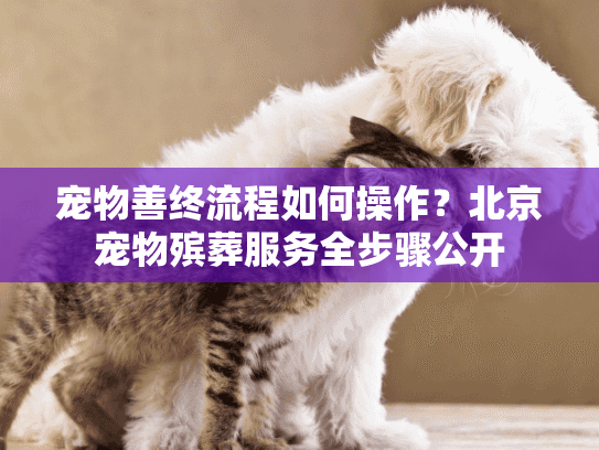 宠物善终流程如何操作？北京宠物殡葬服务全步骤公开