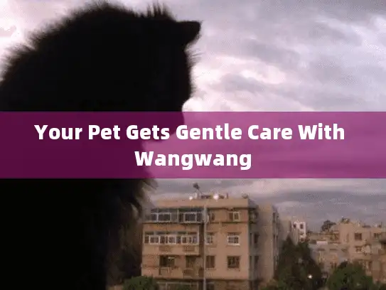 Your Pet Gets Gentle Care With Wangwang