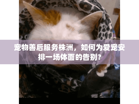 宠物善后服务株洲，如何为爱宠安排一场体面的告别？