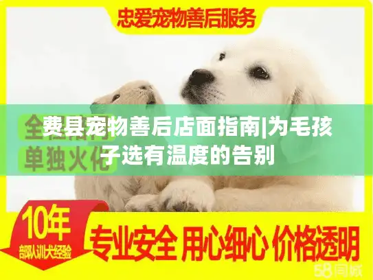 费县宠物善后店面指南|为毛孩子选有温度的告别 费县宠物善后店面指南|为毛孩子选有温度的告别