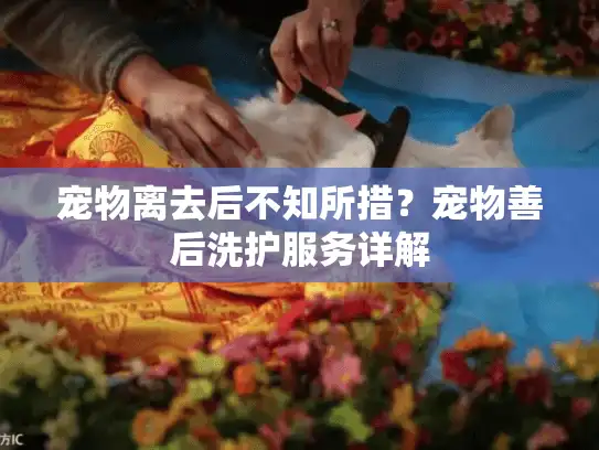 宠物离去后不知所措？宠物善后洗护服务详解