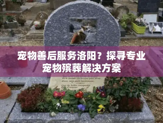 宠物善后服务洛阳?探寻专业宠物殡葬解决方案 宠物善后服务洛阳?探寻专业宠物殡葬解决方案