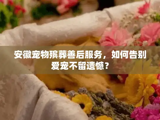 安徽宠物殡葬善后服务，如何告别爱宠不留遗憾？