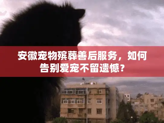 安徽宠物殡葬善后服务，如何告别爱宠不留遗憾？