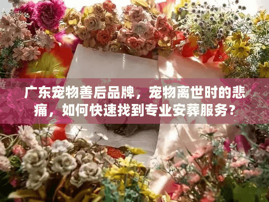 广东宠物善后品牌,宠物离世时的悲痛,如何快速找到专业安葬服务? 广东宠物善后品牌,宠物离世时的悲痛,如何快速找到专业安葬服务?