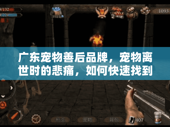 广东宠物善后品牌,宠物离世时的悲痛,如何快速找到专业安葬服务? 广东宠物善后品牌,宠物离世时的悲痛,如何快速找到专业安葬服务?