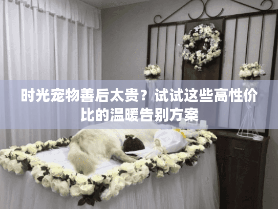 时光宠物善后太贵？试试这些高性价比的温暖告别方案