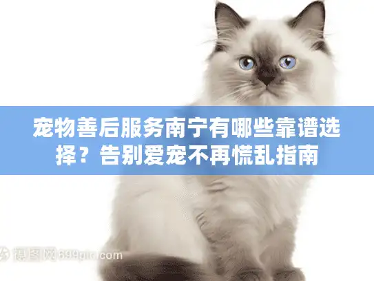 宠物善后服务南宁有哪些靠谱选择？告别爱宠不再慌乱指南