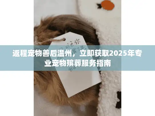 返程宠物善后温州，立即获取2025年专业宠物殡葬服务指南