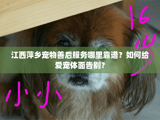 江西萍乡宠物善后服务哪里靠谱?如何给爱宠体面告别? 江西萍乡宠物善后服务哪里靠谱?如何给爱宠体面告别?