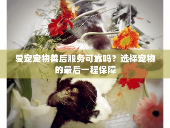 爱宠宠物善后服务可靠吗？选择宠物的最后一程保障