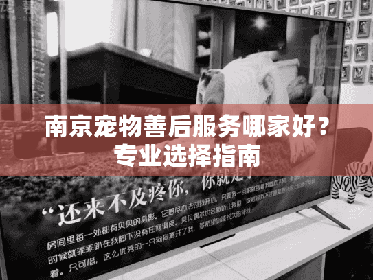南京宠物善后服务哪家好？专业选择指南