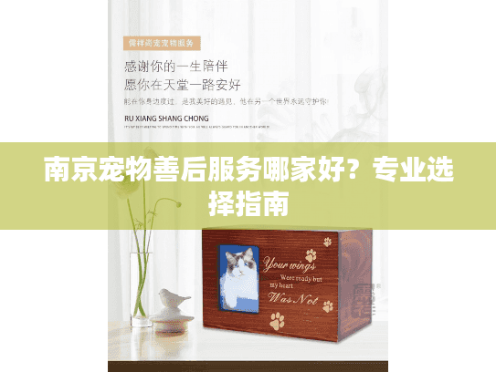 南京宠物善后服务哪家好？专业选择指南