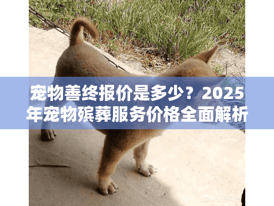 宠物善终报价是多少？2025年宠物殡葬服务价格全面解析