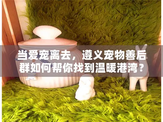 当爱宠离去,遵义宠物善后群如何帮你找到温暖港湾? 当爱宠离去,遵义宠物善后群如何帮你找到温暖港湾?