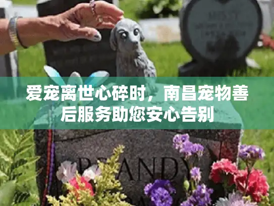 爱宠离世心碎时,南昌宠物善后服务助您安心告别 爱宠离世心碎时,南昌宠物善后服务助您安心告别