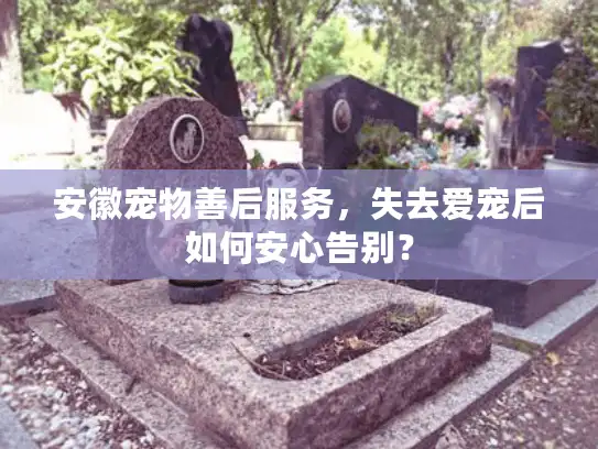 安徽宠物善后服务，失去爱宠后如何安心告别？