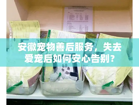 安徽宠物善后服务，失去爱宠后如何安心告别？