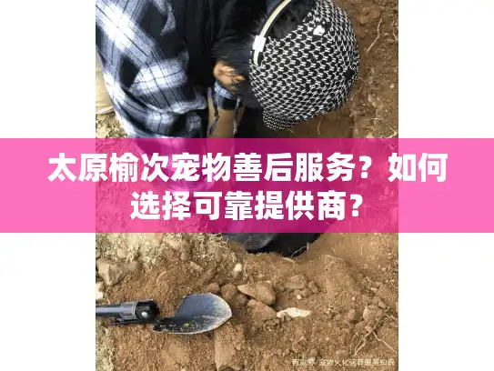 太原榆次宠物善后服务？如何选择可靠提供商？