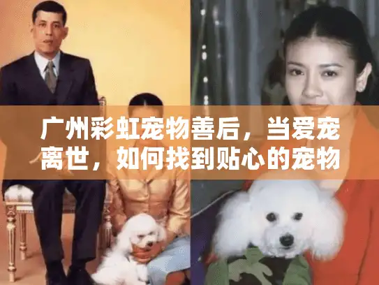 广州彩虹宠物善后，当爱宠离世，如何找到贴心的宠物殡葬服务？