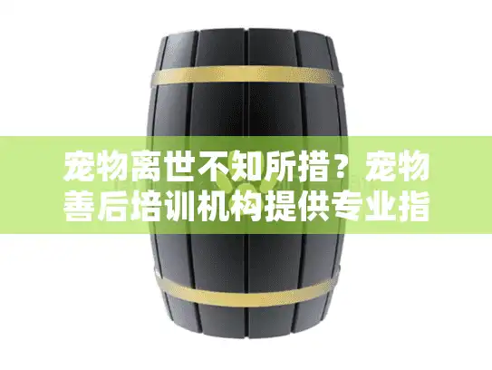 宠物离世不知所措？宠物善后培训机构提供专业指导