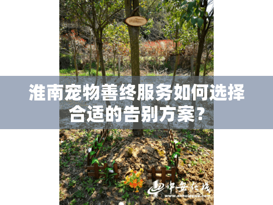 淮南宠物善终服务如何选择合适的告别方案? 淮南宠物善终服务如何选择合适的告别方案?