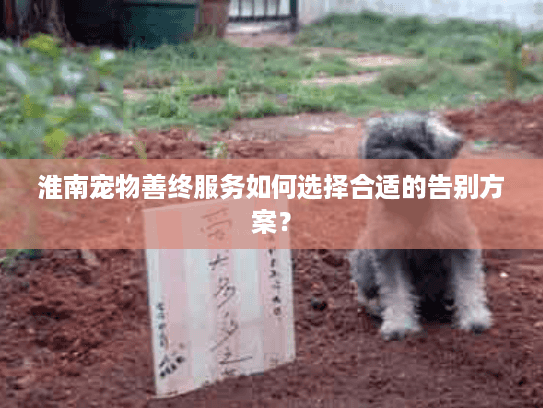 淮南宠物善终服务如何选择合适的告别方案? 淮南宠物善终服务如何选择合适的告别方案?