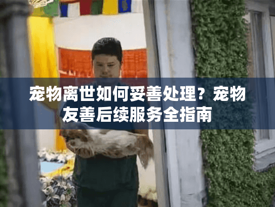 宠物离世如何妥善处理？宠物友善后续服务全指南