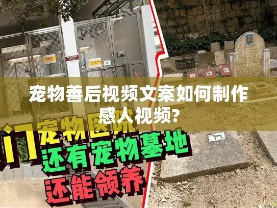 宠物善后视频文案如何制作感人视频? 宠物善后视频文案如何制作感人视频?