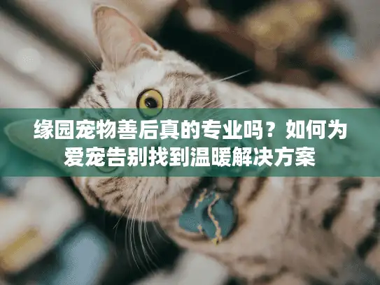 缘园宠物善后真的专业吗?如何为爱宠告别找到温暖解决方案 缘园宠物善后真的专业吗?如何为爱宠告别找到温暖解决方案